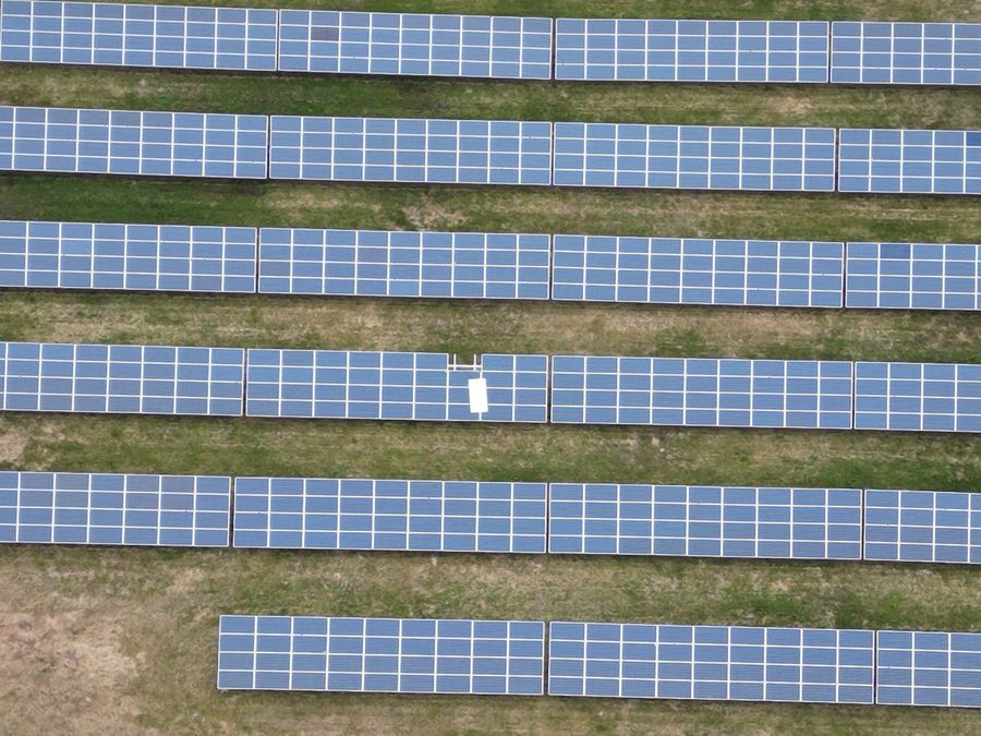 Overhead view of rows of polycrystalline solar modules
