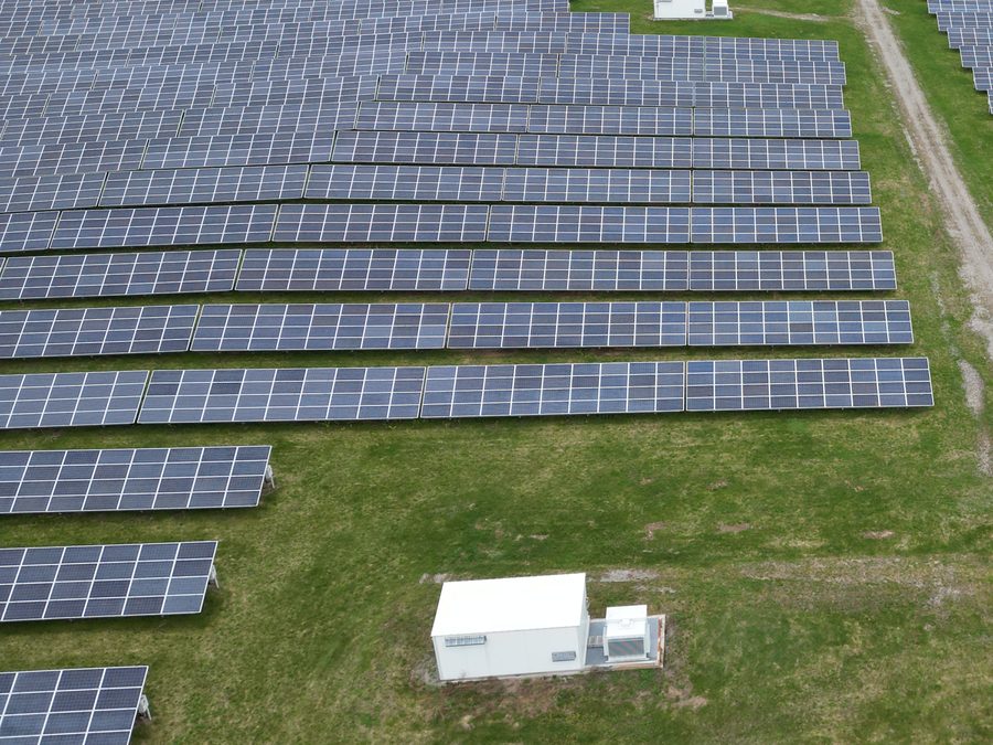 Solar modules laid out across the site in long rows